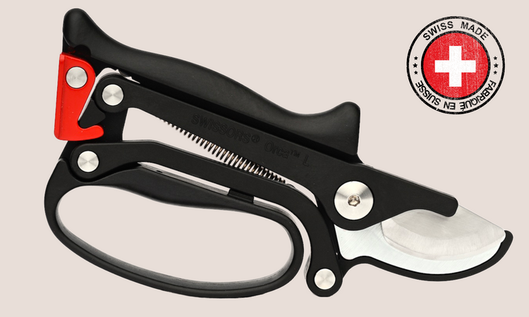 <h2>Orca™  Product Features</h2>